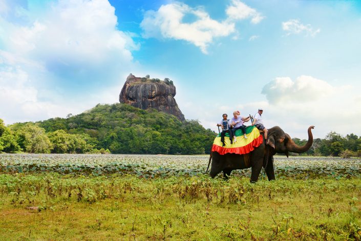 Elephant Safari At Sigiriya Sri Lanka