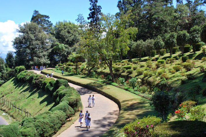 Hakgala-Botanical-Garden-2