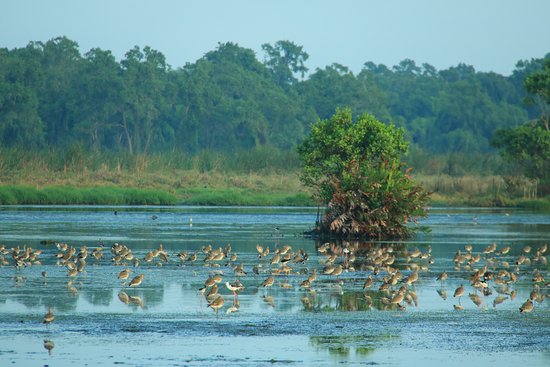 Kalametiya lagoon