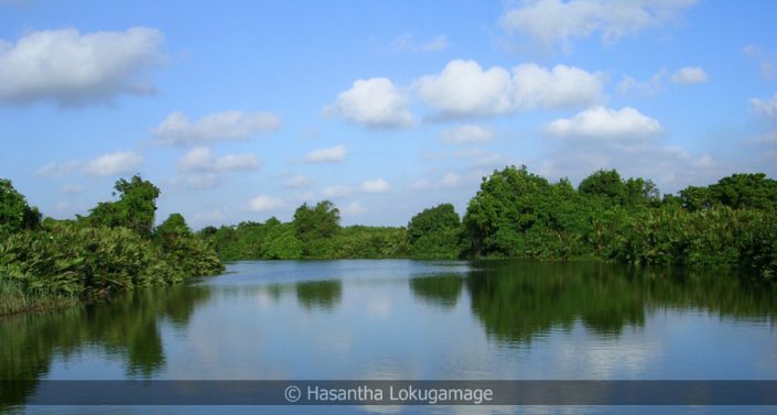 Muthurajawela