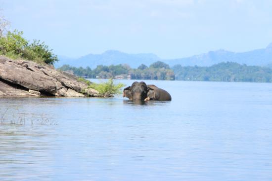 gal-oya-national-park