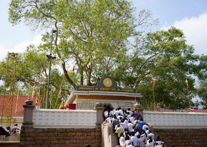 jaya-sri-maha-bodhi