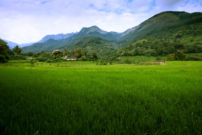 monaragala