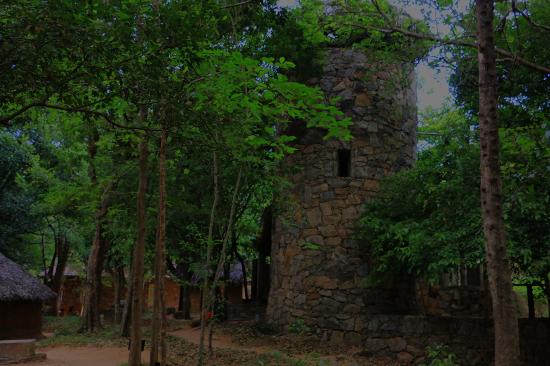 popham arboretum Dambulla