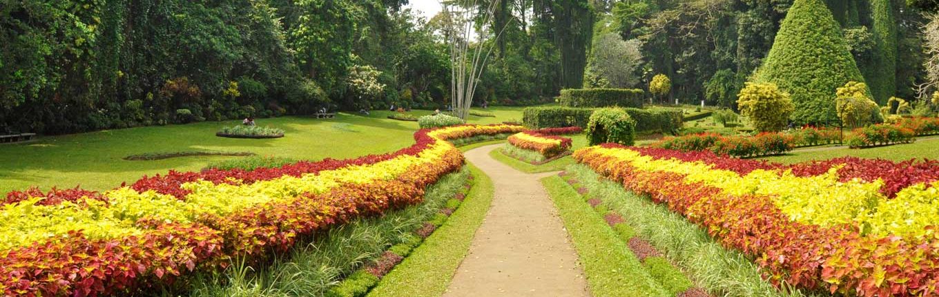 2 Weeks Sri Lanka Peradeniya Garden